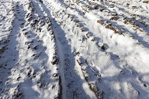 la nieve se acumula en el suelo foto