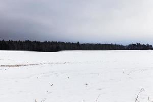 Snow drifts in winter photo