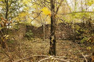 las ruinas de un edificio antiguo foto