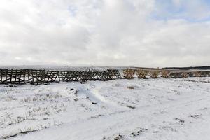 ventisqueros en invierno foto