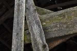 old wooden surface photo