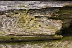 crumbling wooden surface photo