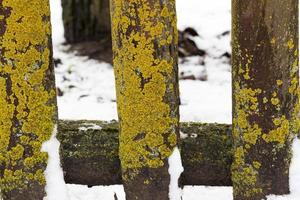 Old wooden fence photo