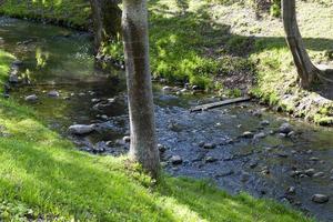 narrow river, close up photo