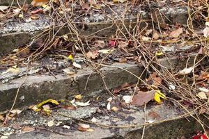 vieja escalera en la temporada de otoño foto