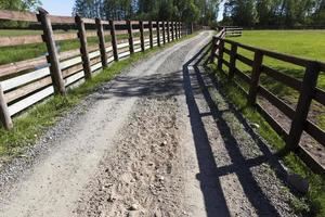 The rural road, photo