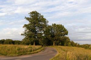 asphalt road on a hill photo