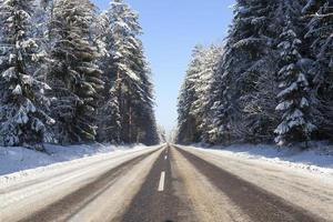 ventisqueros en invierno foto