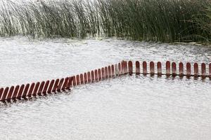 low wooden fence in the water photo