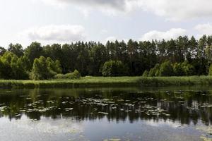 lake with dirty water in summer photo