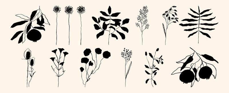 Set of minimalistic silhouette of branches. Organic plant illustration icon. Sketch of summer and autumn berries in boho style. Vector art type drawing