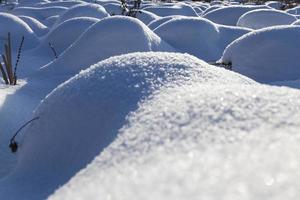 montículos en el pantano grandes derivas después de nevadas y ventiscas foto