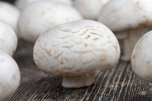 unwashed mushrooms champignon during cooking photo