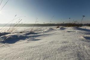 covered soil and grass with a thick layer of snow after a cyclone photo