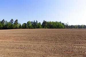plowed soil in the field photo