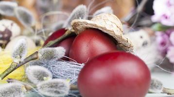 ramas de sauce en flor cortadas para la celebración de pascua foto