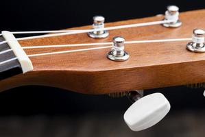 guitarra pequeña de caoba foto