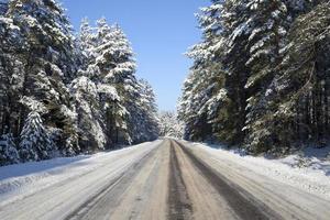 camino en invierno foto