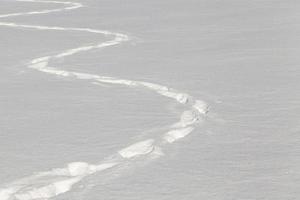 pisoteado en una nieve profunda foto