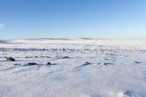 After snowfall, field photo