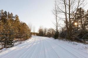 snow covered road in the forest photo