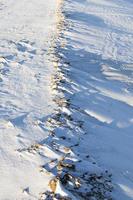 land covered with snow, close up photo