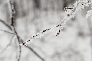 Snow drifts in winter photo