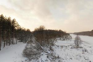 snow and ice covered grass photo