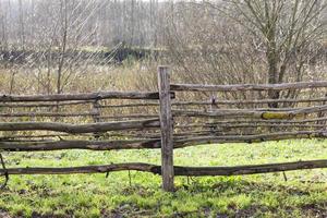 wooden fence, close up photo