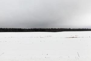 paisaje nublado de invierno foto