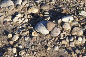 stones and cobblestones photo