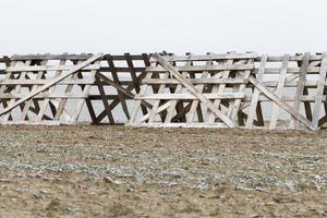 simple wooden fences photo