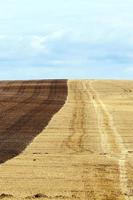 half plowed field photo