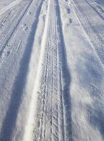 camino bajo la nieve foto