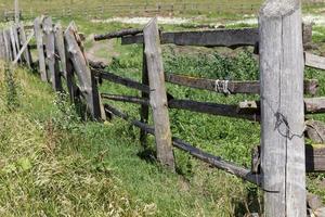 old and primitive fence photo