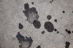 car oil stains on an asphalt road photo