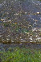 river with dark water photo