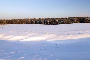 the field covered with snow photo