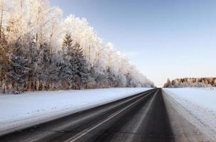 camino de invierno, nieve foto