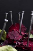 dried red rose on a black wooden board photo