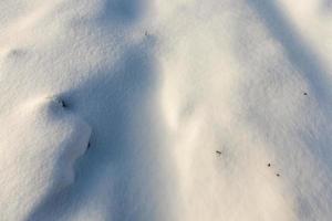 covered soil and grass with a thick layer of snow after a cyclone photo