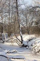 a small river whose water is frozen in winter photo