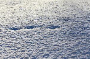 nieve suave pero congelada que cayó durante la nevada foto