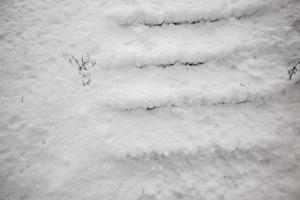 escalera cubierta de nieve en invierno foto