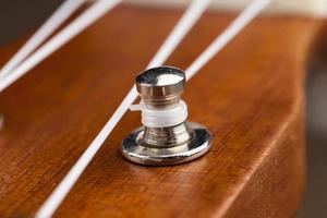 guitarra pequeña de caoba foto