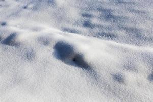 snow drifts in the winter season photo