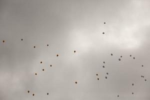 balloons with helium in sky photo