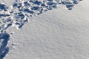 ventisqueros después de nevadas en invierno foto