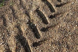 rastros en la arena después de la lluvia foto