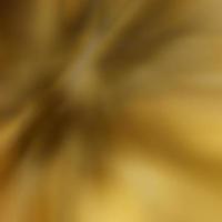 abstract background with shades of yellow photo